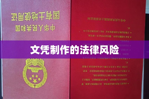 富裕文凭制作的法律风险