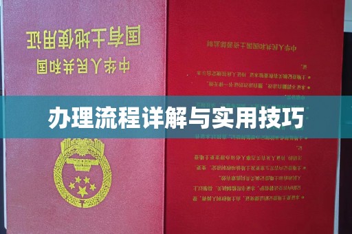 富裕办理流程详解与实用技巧