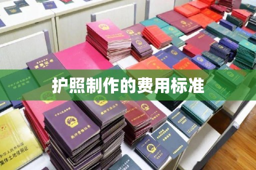 富裕护照制作的费用标准